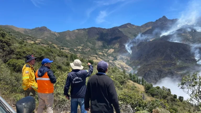 Bomberos y comuneros combaten incendio forestal en Guanazán cantón Zaruma