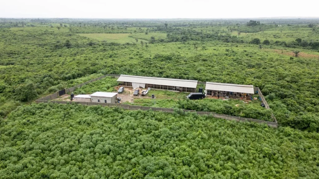 Operativos internacionales contra laboratorios del Cartel de Sinaloa en África