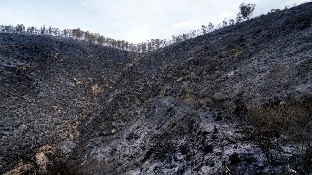 Laderas quemadas en cerro Casitagua monitoreo incendio del Cuerpo de Bomberos de Quito