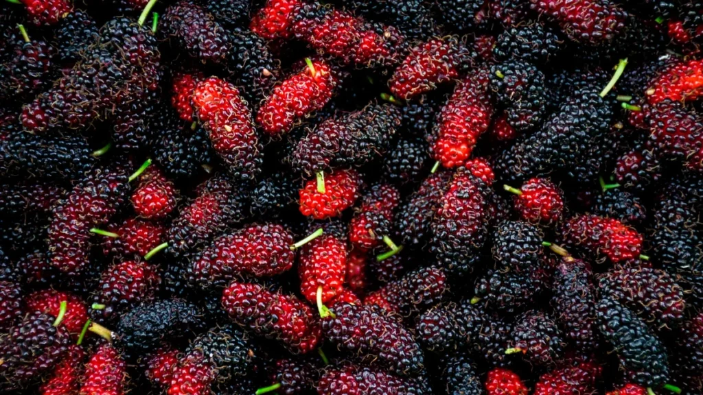 Moras frescas sobre superficie de madera