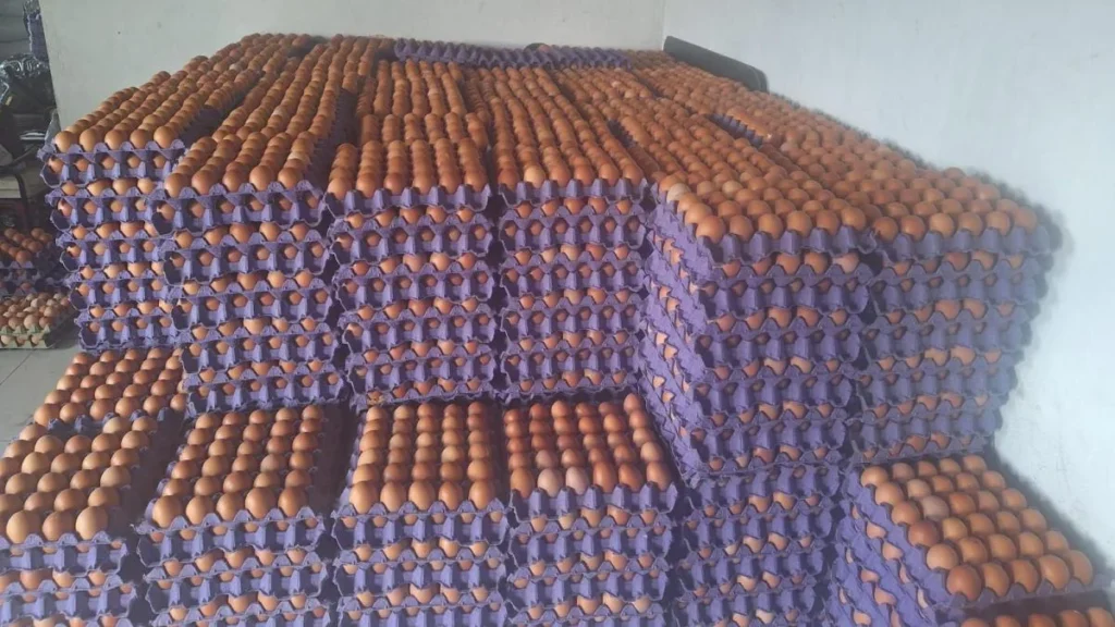 Una cubeta de huevos frescos en un centro de distribución en Ecuador
