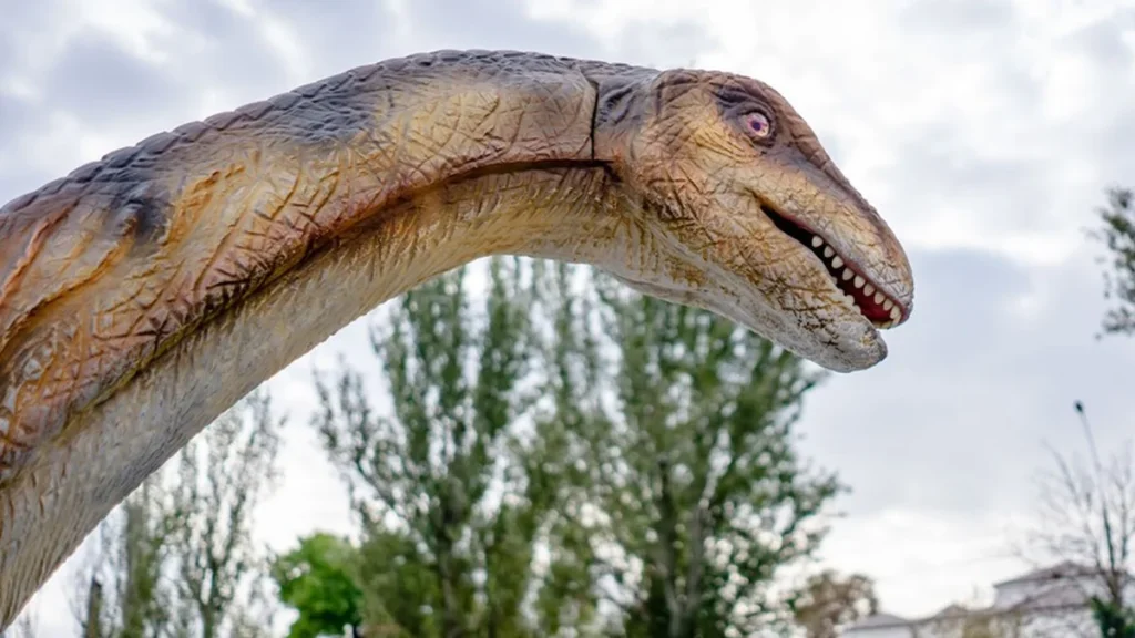 Reconstrucción de un Diplodocus, dinosaurio saurópodo del Jurásico