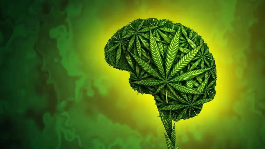 Efectos del cannabis en el cerebro y salud mental