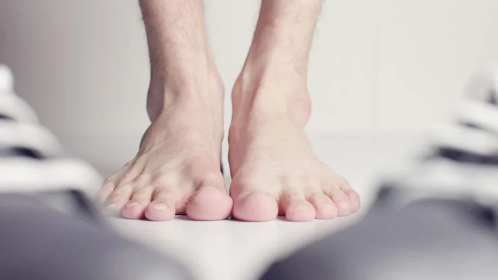 Estructura ósea y plantar del pie humano