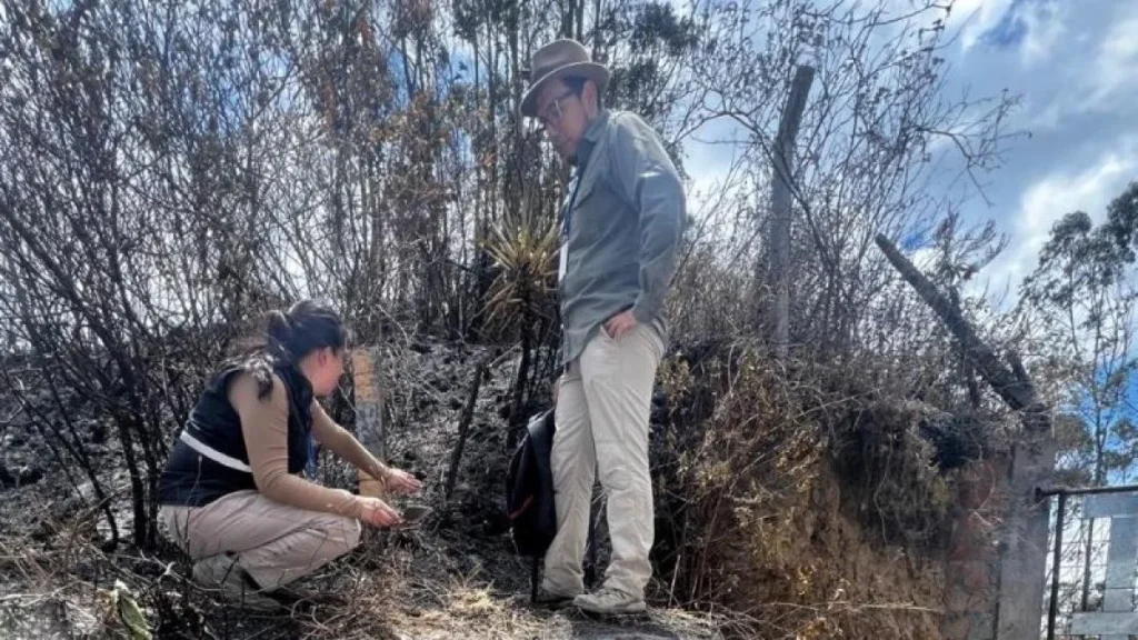 Graderío tallado en roca descubierto en el cerro Casitagua