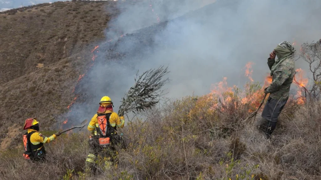 Bomberos de Quito combatiendo el incendio forestal en Casitagua