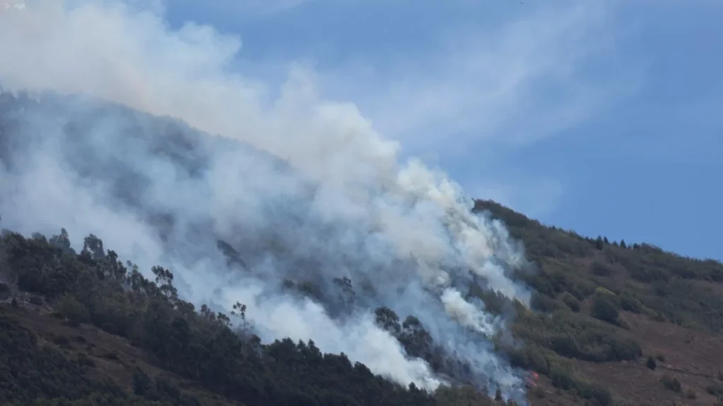 Incendio forestal en el sector de Pusuquí en el norte de Quito