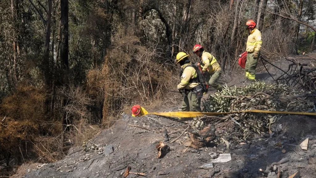 Incendio forestal en una ladera de Quito combatido por bomberos
