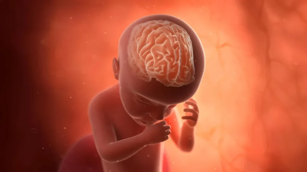 Control clinico prenatal en mujer gestante para descartar infecciones TORCH