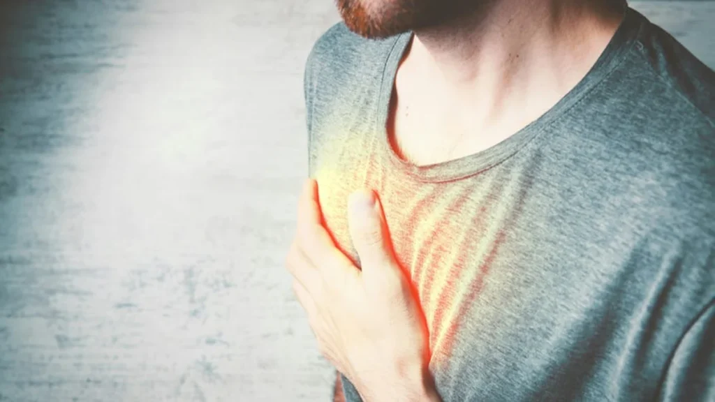 Corazón y arterias en chequeo médico