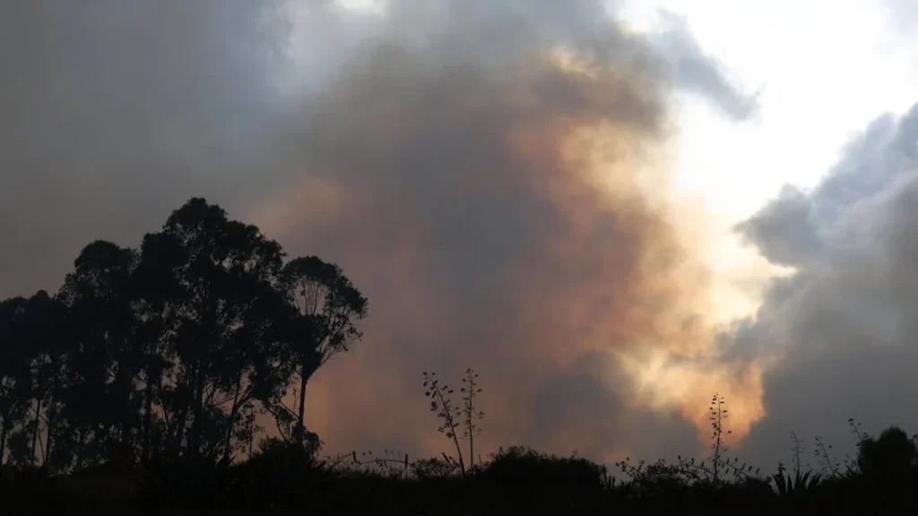 Terreno quemado en una zona forestal de Quito tras un incendio