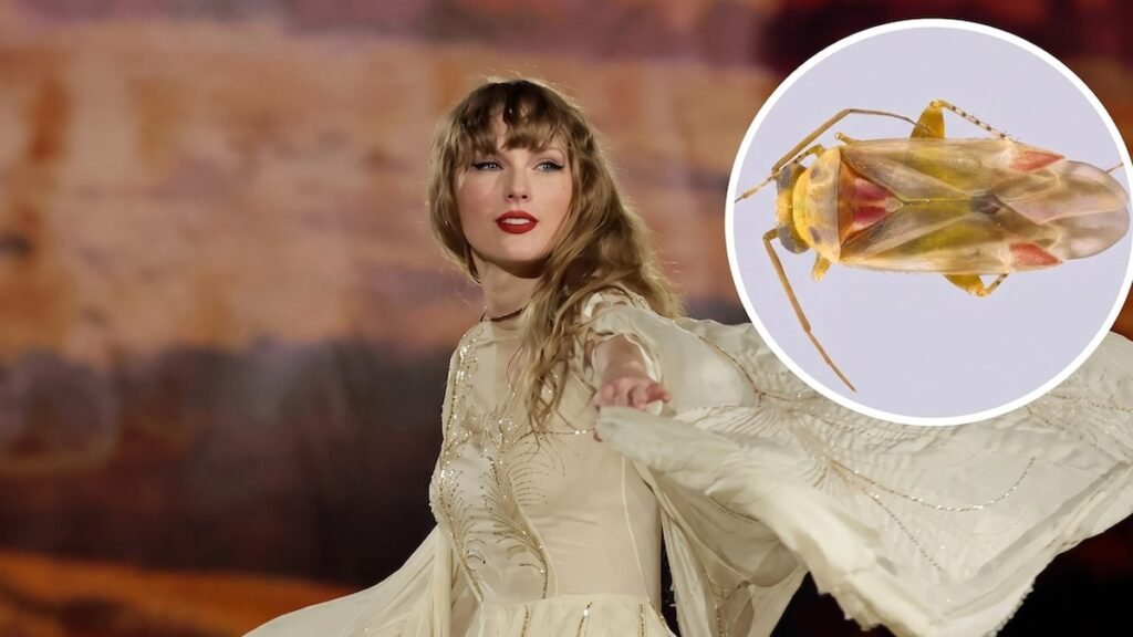 Retrato de Taylor Swift e ilustración de investigación biológica