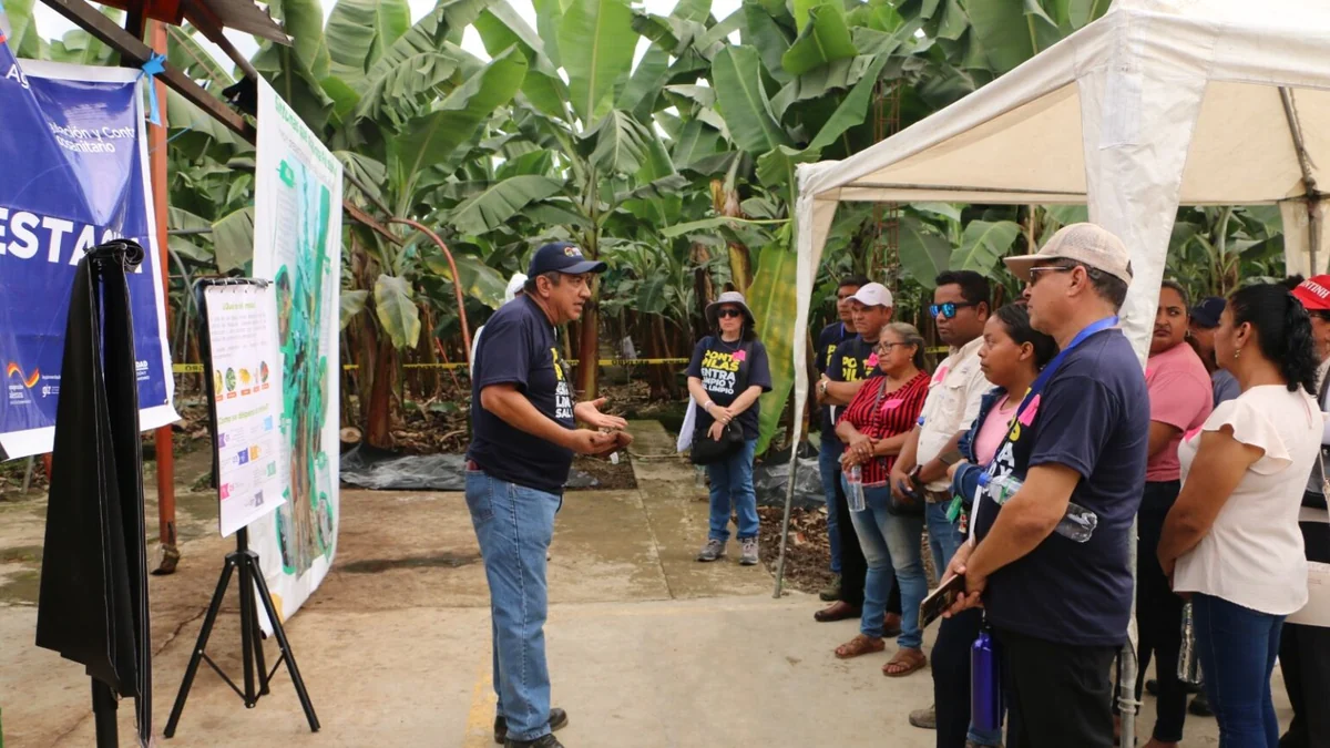 Técnicos de Agrocalidad inspeccionando cultivos agrícolas en zonas vulnerables