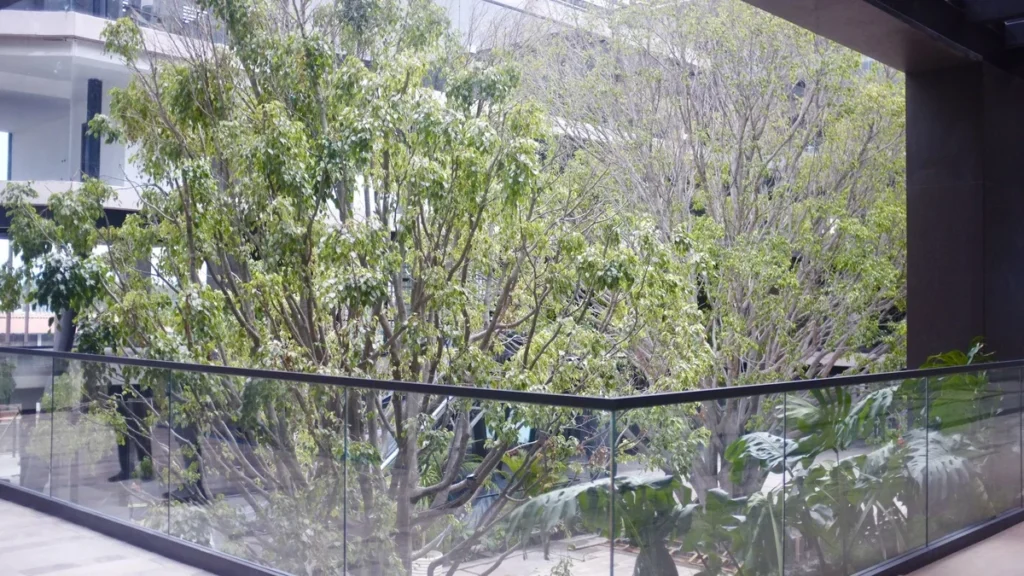 Desarrollo de arquitectura biofílica y áreas verdes en Cumbayá, Quito
