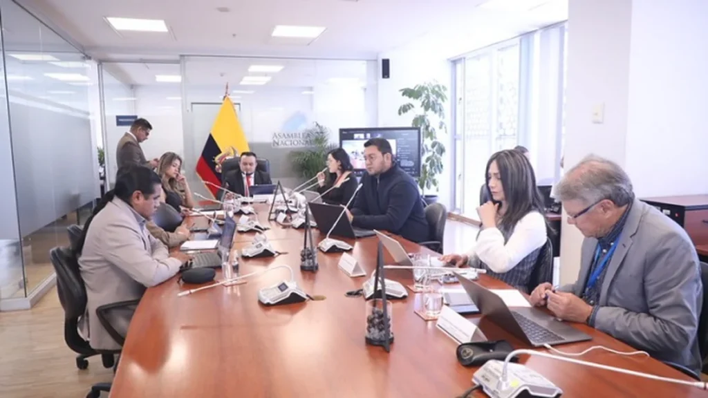 Documentos e instalaciones de control público durante análisis de informes patrimoniales