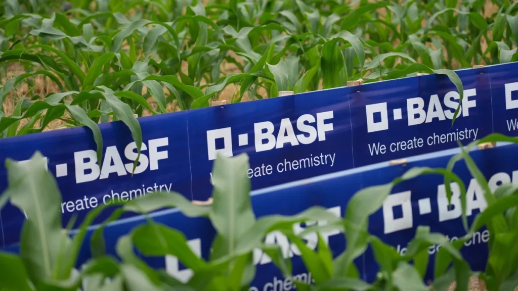 Innovación en campo bajo la nueva estructura agrícola