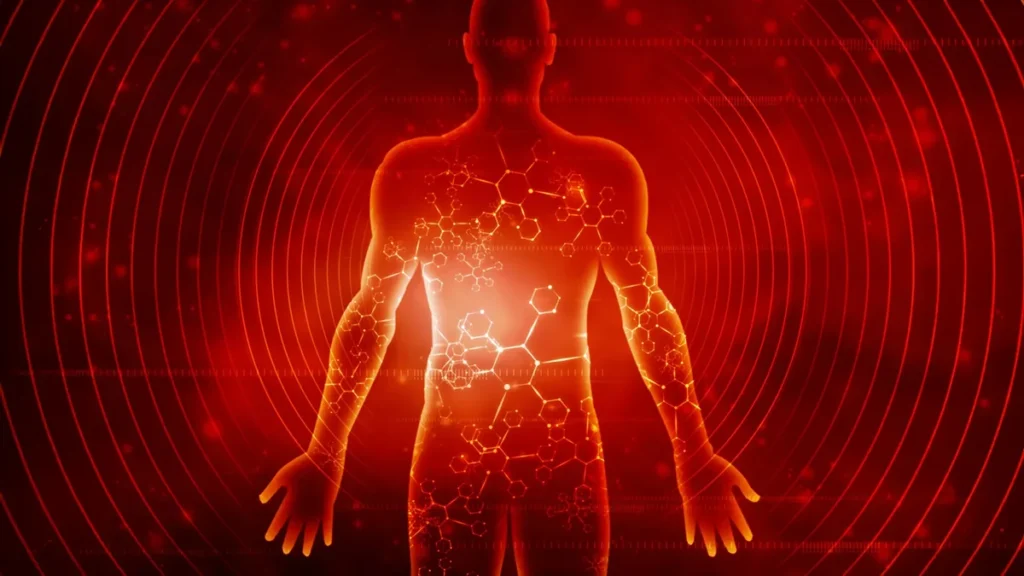 Ilustración conceptual de biología celular, metabolismo y longevidad en el cuerpo humano