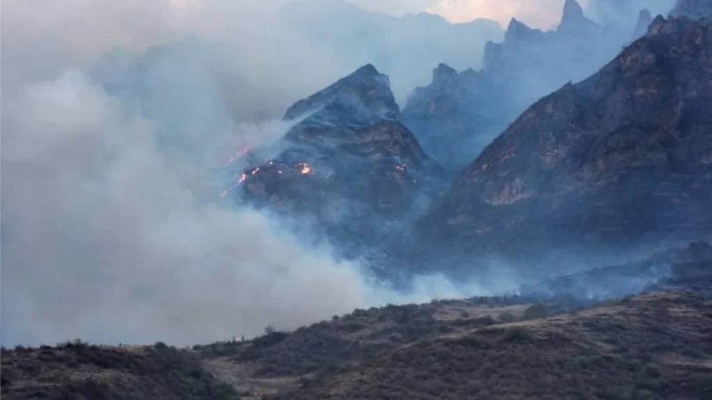 Personal de bomberos y policía combatiendo incendio forestal en cerro Pachatusan