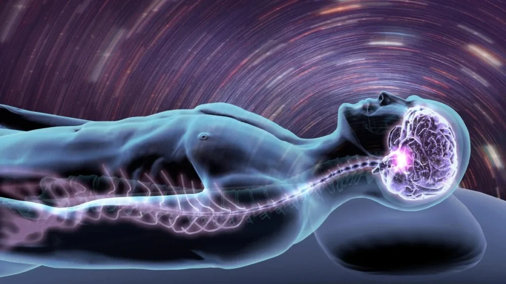 Actividad cerebral y limpieza del sistema glinfático durante el sueño profundo