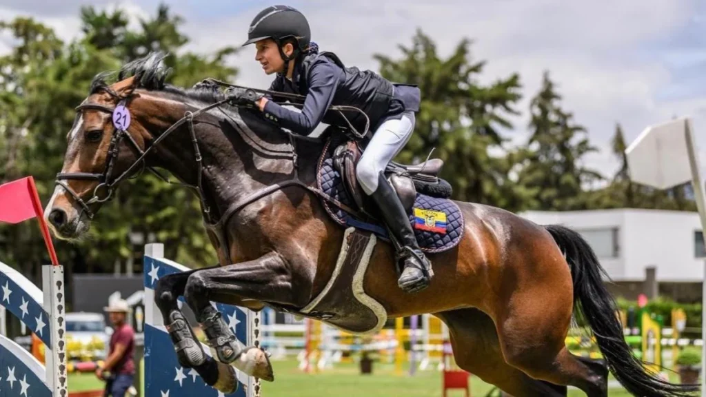Jinete y caballo superando un obst?culo en pista durante prueba de salto ecuestre
