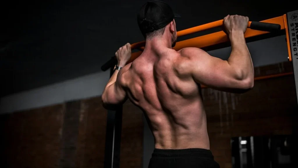 Frascos de medicamentos y estructura celular de fibras musculares