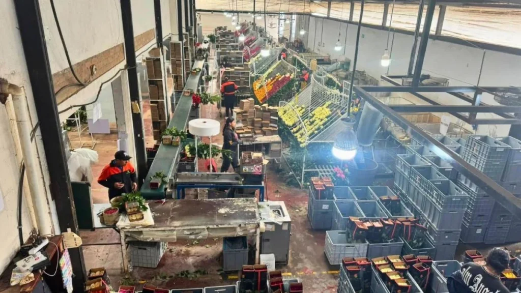 Sede del Fondo Monetario Internacional y gráficos del Producto Interno Bruto