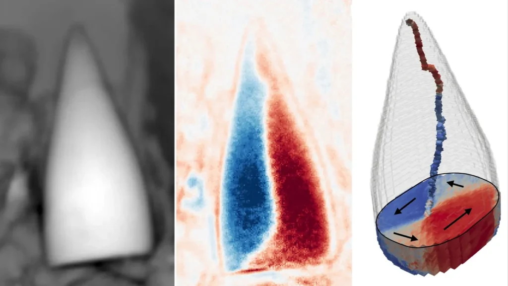 Microfotografía tridimensional de magnetofósiles alargados con forma de proyectil