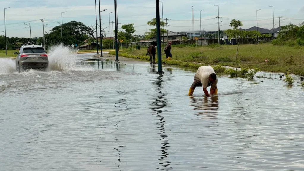 Avenida anegada por aguas de lluvia en Samborond?n con veh?culos transitando con dificultad