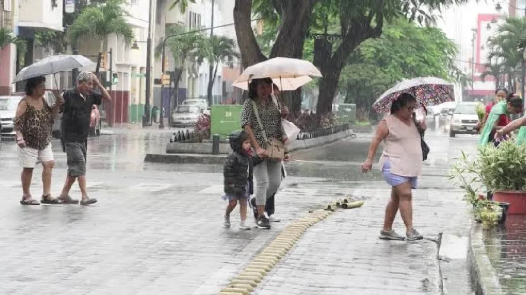 Vehículos circulando bajo lluvia en una avenida transitada de Guayaquil