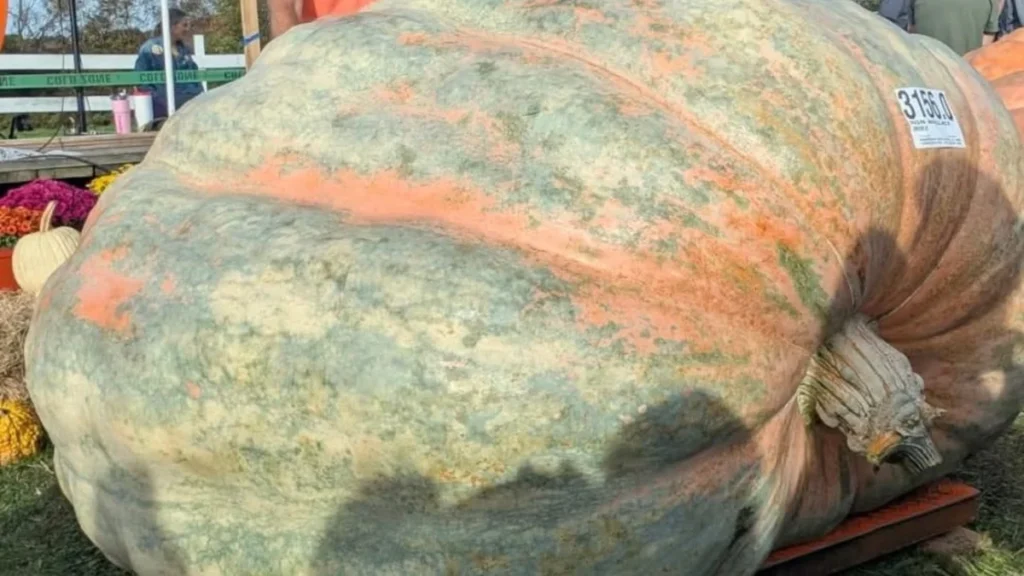 Ian Paton junto a su gigantesca calabaza premiada con el récord Guinness