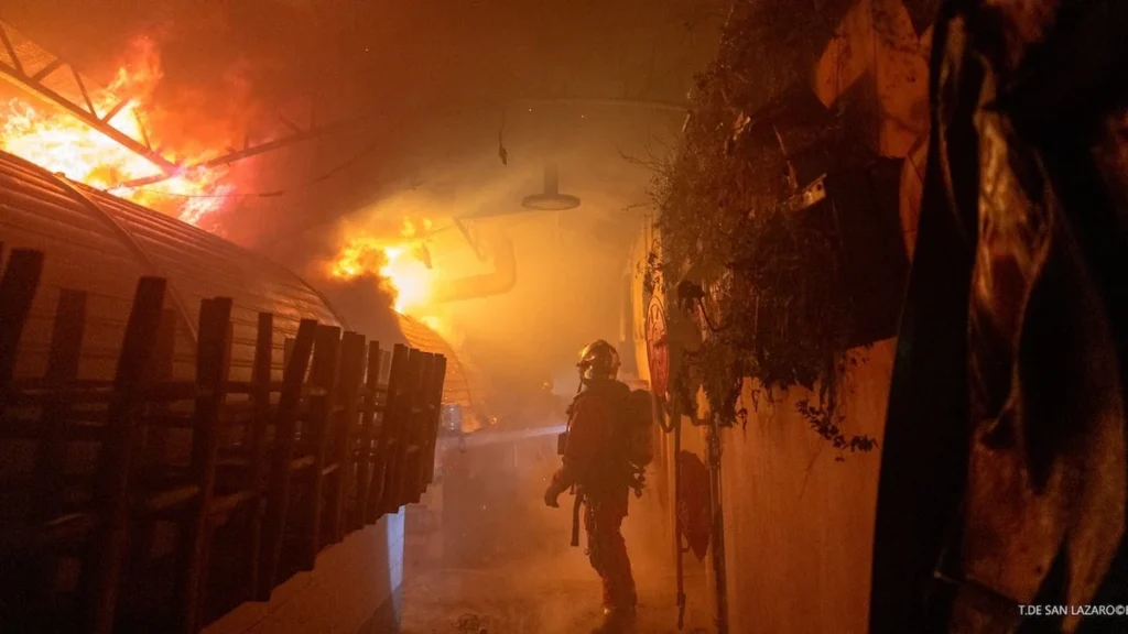 Bomberos trabajando en el incendio del mercado de Paris