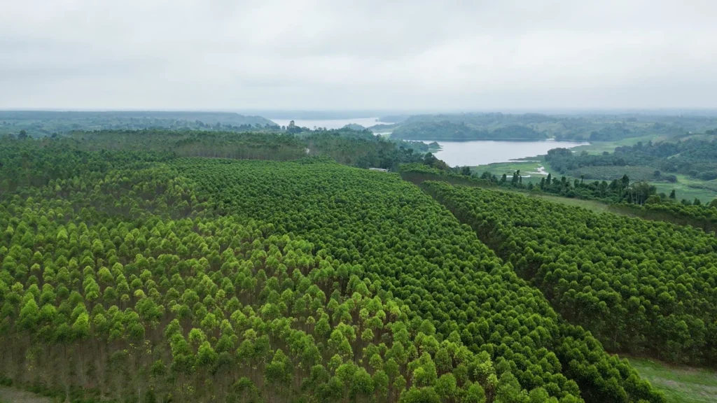 Proceso de reciclaje y aprovechamiento de subproductos en planta industrial