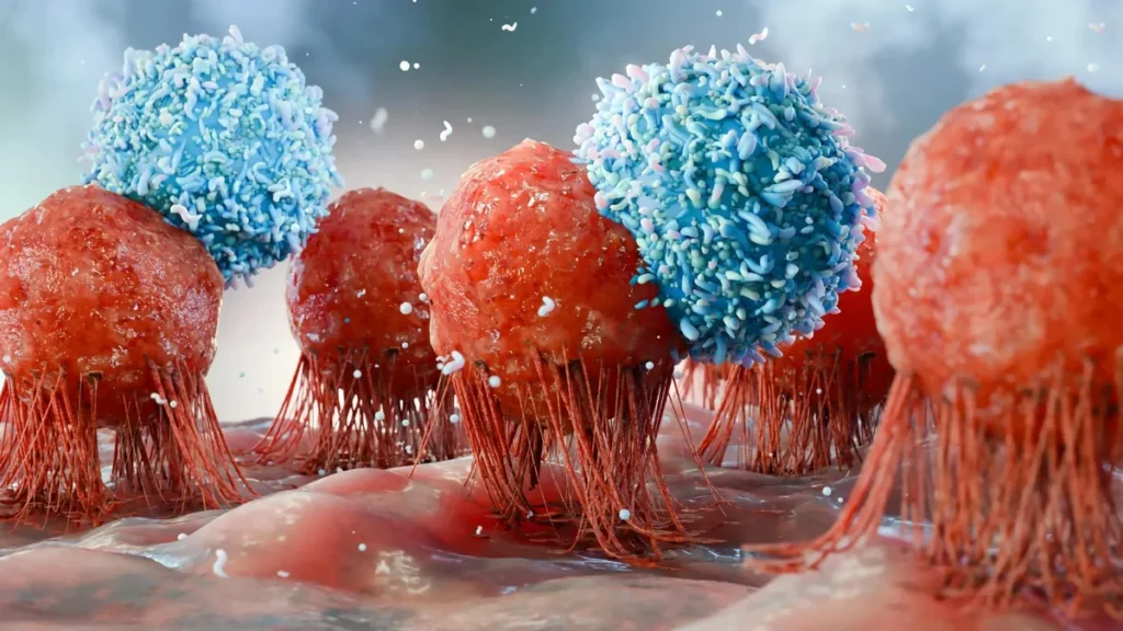 Micrografía médica de células T del sistema inmunitario combatiendo células malignas de cáncer