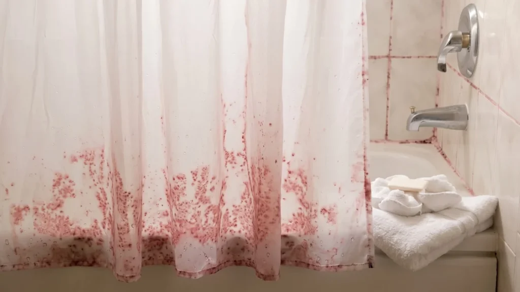 Superficie de cortina de baño con marcas y desinfección doméstica adecuada