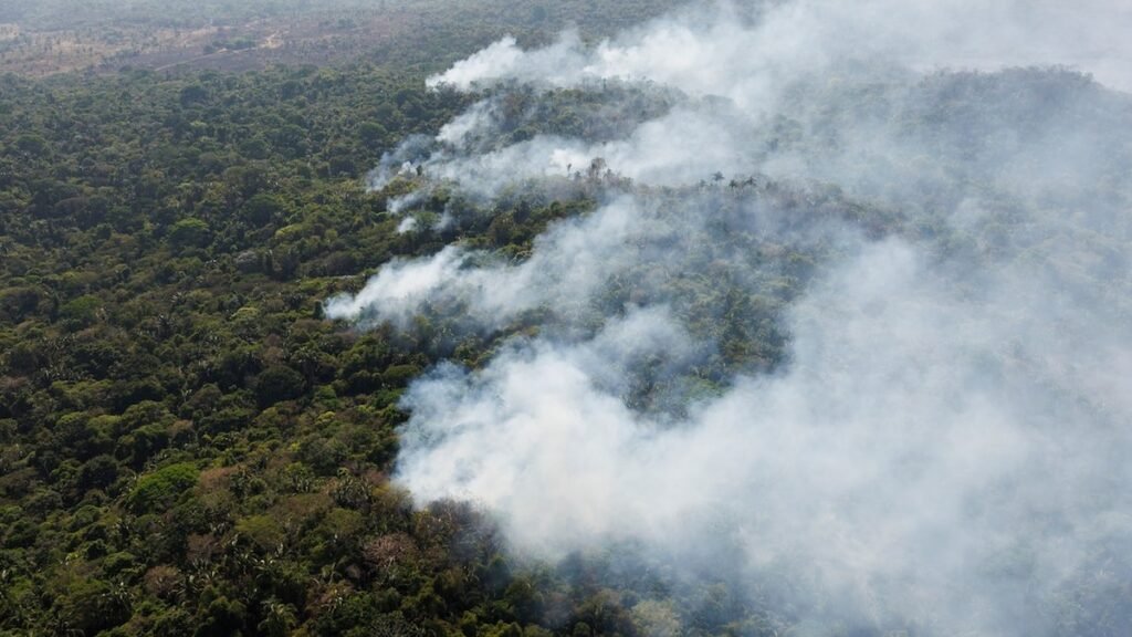 La NASA advierte sobre la propagación de incendios en la selva de la Amazonía