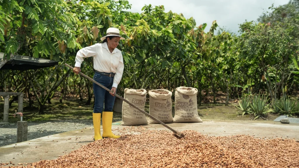 Productora de cacao en finca ecuatoriana como parte de Plan Cacao