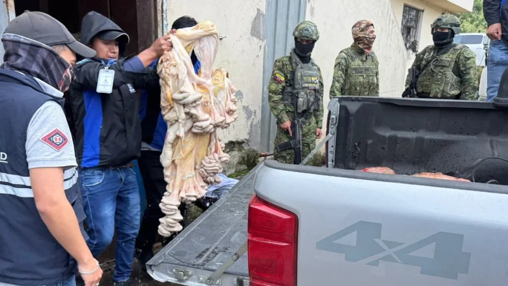 Personal de la Agencia Metropolitana de Control inspeccionando restos en camal clandestino