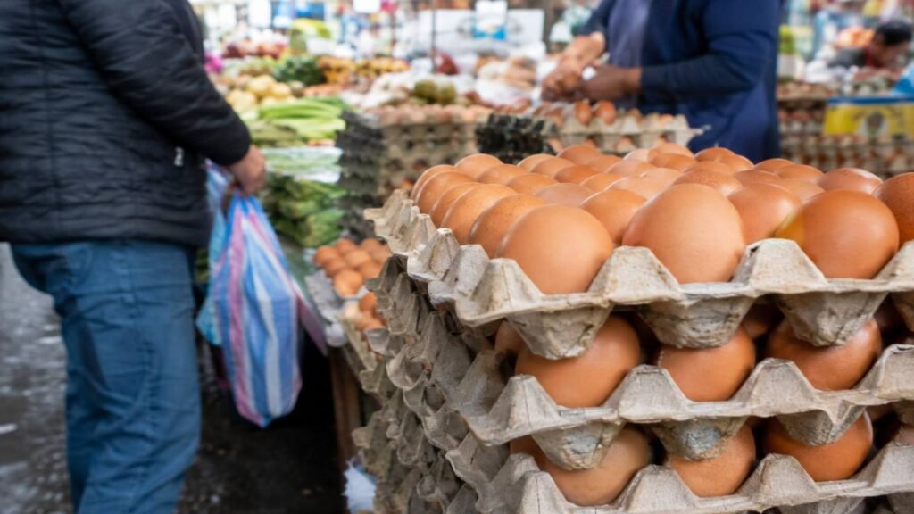 Precio de la cubeta de huevos bordea los 5 dólares en mercados de ocho provincias del Ecuador