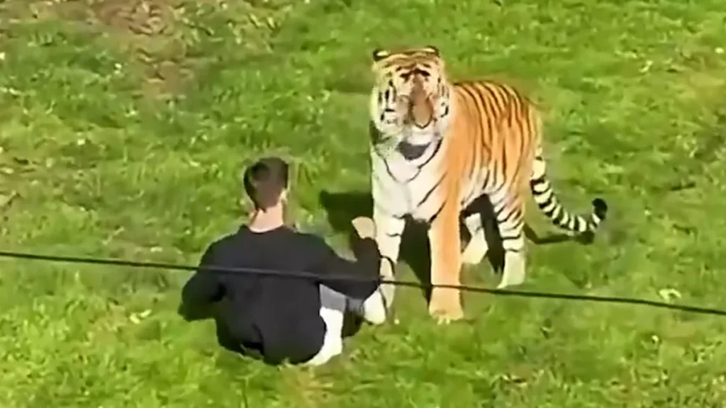 Entrada y recintos de fauna silvestre en el zoológico de Yorkshire en Inglaterra