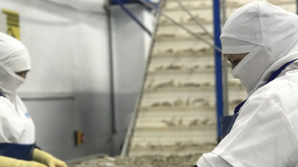Las razones que explican el fuerte aumento del consumo eléctrico en Ecuador