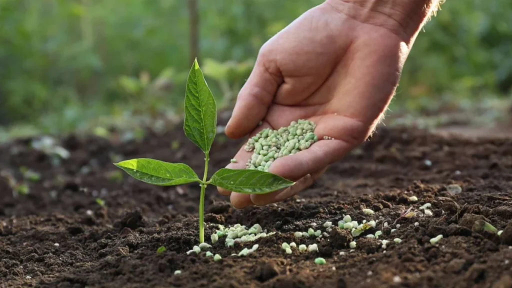 Muestreo técnico para optimizar la productividad agrícola