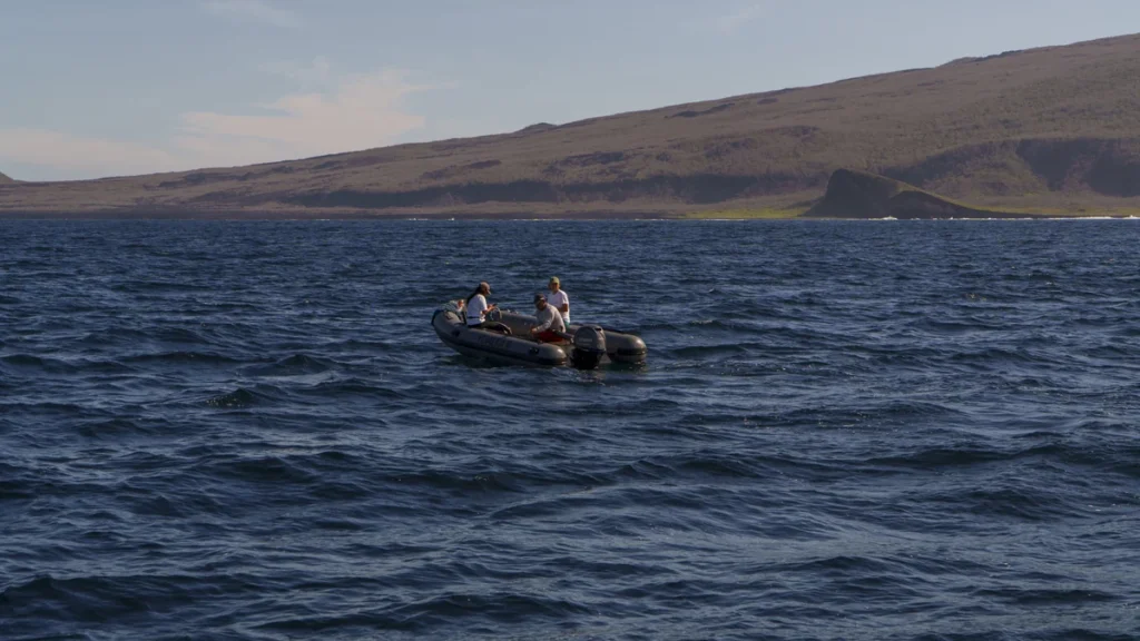 Avistamiento científico de ballenas azules en Galápagos