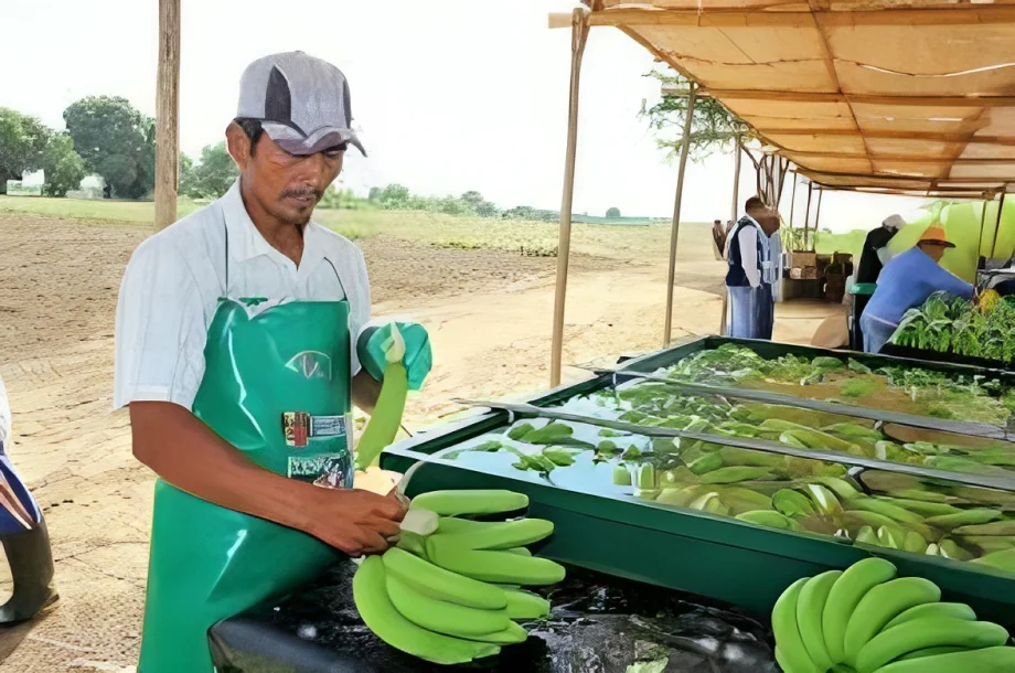 Banco Pichincha y Rabo Partnerships