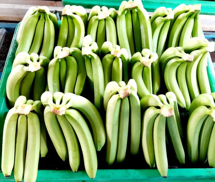 Banano