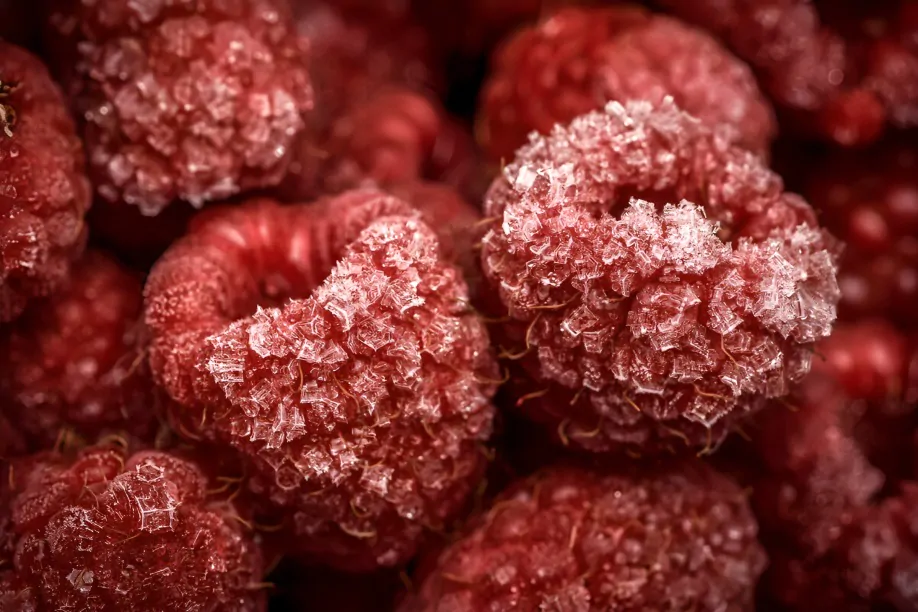 Descubre la verdad sobre el contenido de azúcar en las frutas. ¿Son realmente saludables o representan un riesgo para tu dieta?