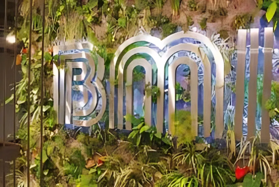 BMI