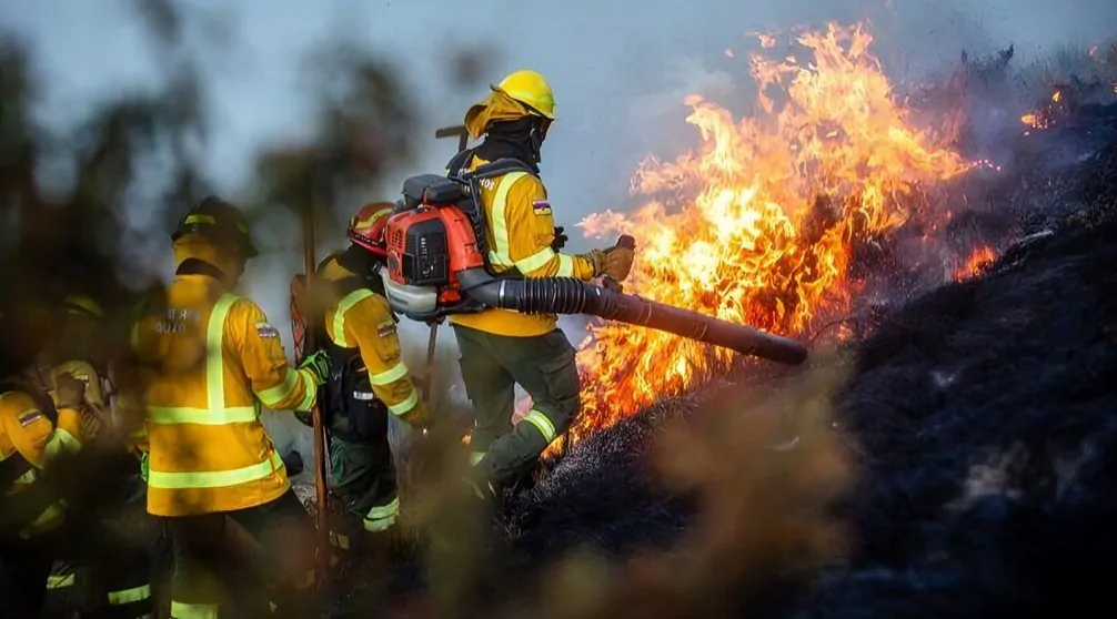 Quito ha lanzado una campaña urgente para enfrentar el aumento de incendios forestales, que en 2024 han afectado 325,64 hectáreas.