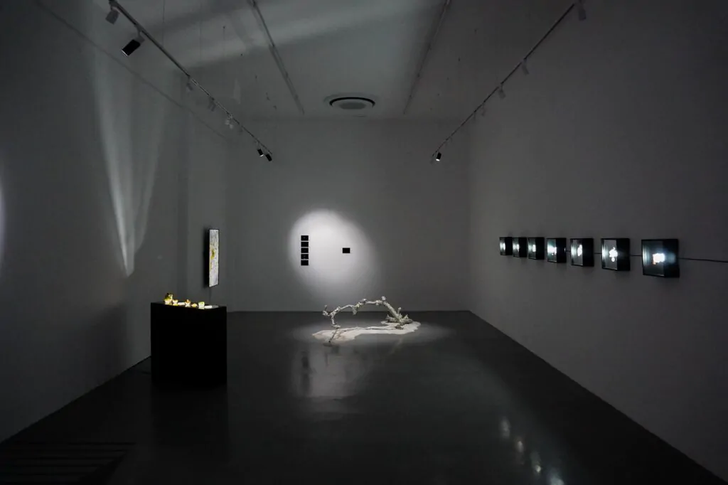 USFQ inaugura “TAPTANA” en Q Galería: Exposición gratuita de Freddy Guaillas sobre la interacción entre naturaleza y cultura