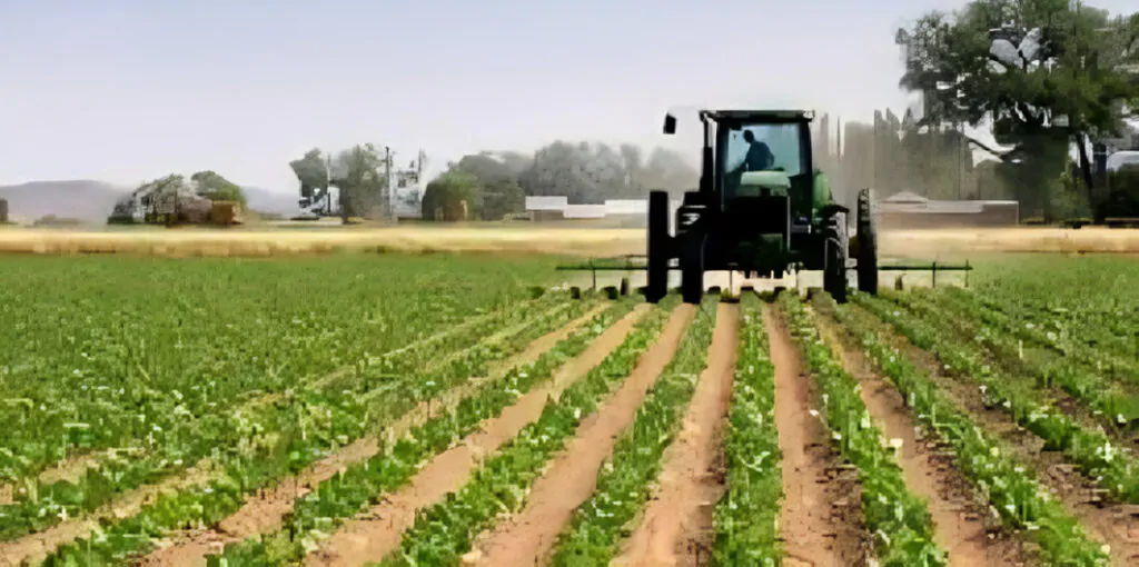 Cultiva Progreso Ecuador: proyecto que impulsa la transformación de pequeños agricultores a empresarios, mejorando su calidad de vida.