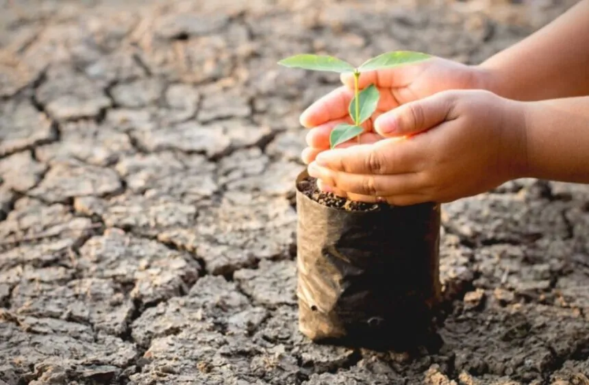 Impacto del calentamiento global en la industria aseguradora: estrategias para mitigar riesgos climáticos y desastres naturales crecientes.